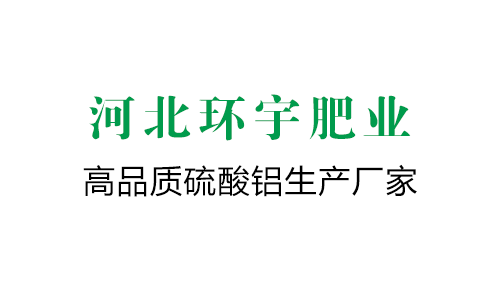 三叉神經(jīng)鞘瘤是什么？病理、癥狀、診療及康復指南