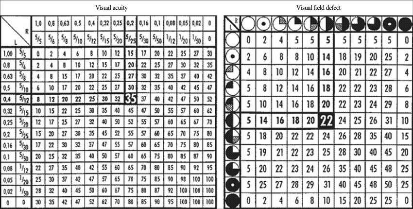 VIS（視力損害評(píng)分）