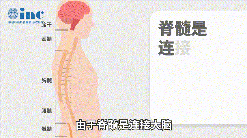 脊髓腫瘤