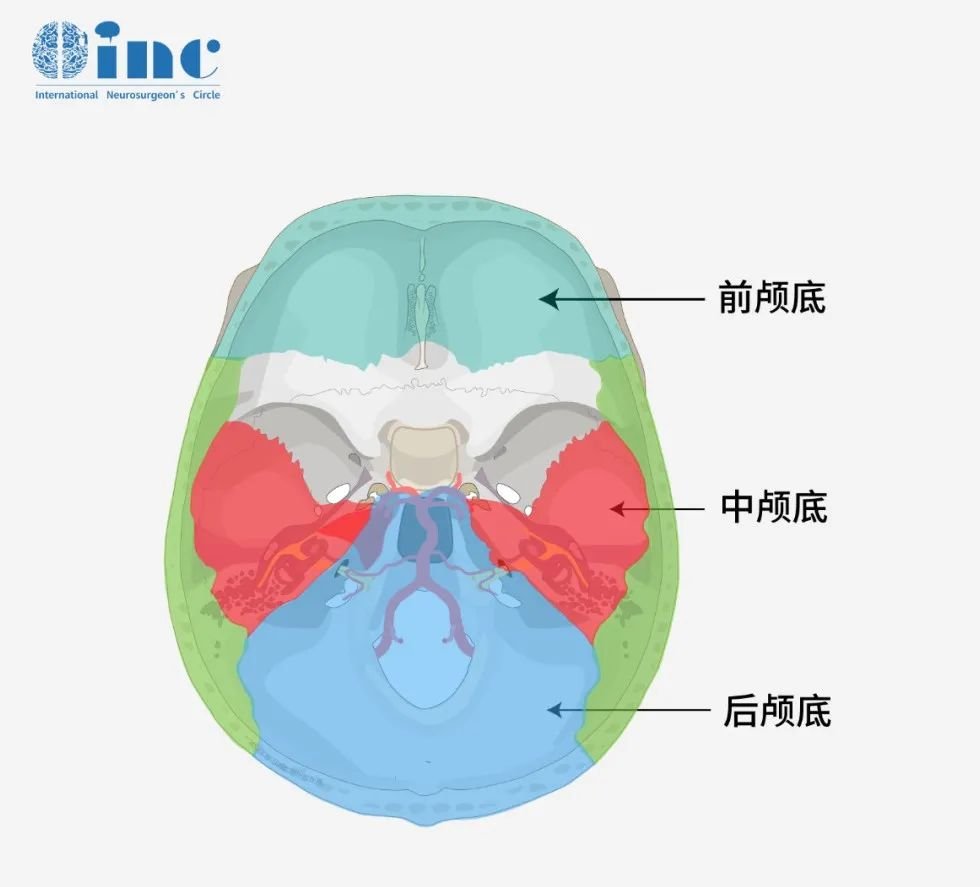 【國際兒童腦瘤大咖Rutka】盤點(diǎn)兒童顱底各大病變系列四：顱咽管瘤